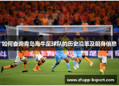 如何查询青岛海牛足球队的历史沿革及前身信息