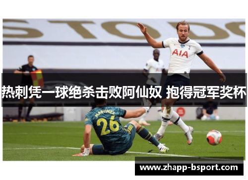 热刺凭一球绝杀击败阿仙奴 抱得冠军奖杯