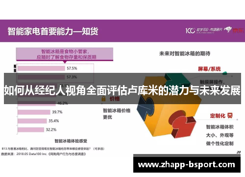 如何从经纪人视角全面评估卢库米的潜力与未来发展
